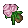 God flowers